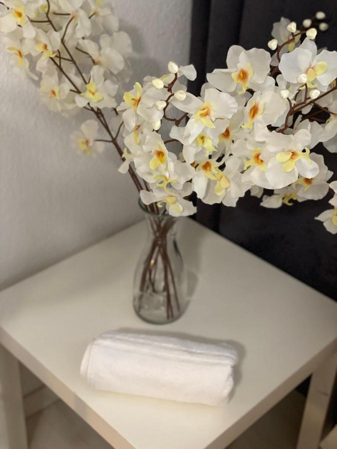 Central Shared Apartment, Friesenplatz Кельн Екстер'єр фото